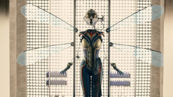 wasp-costume-pic.jpg