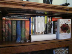 book shelves 001.JPG
