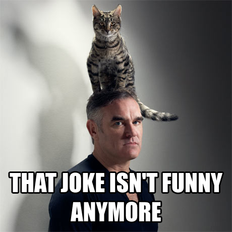 Morrissey-Cat.png