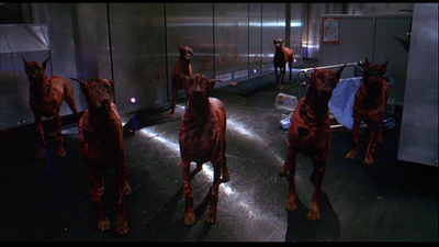 resident-evil-dogs.png