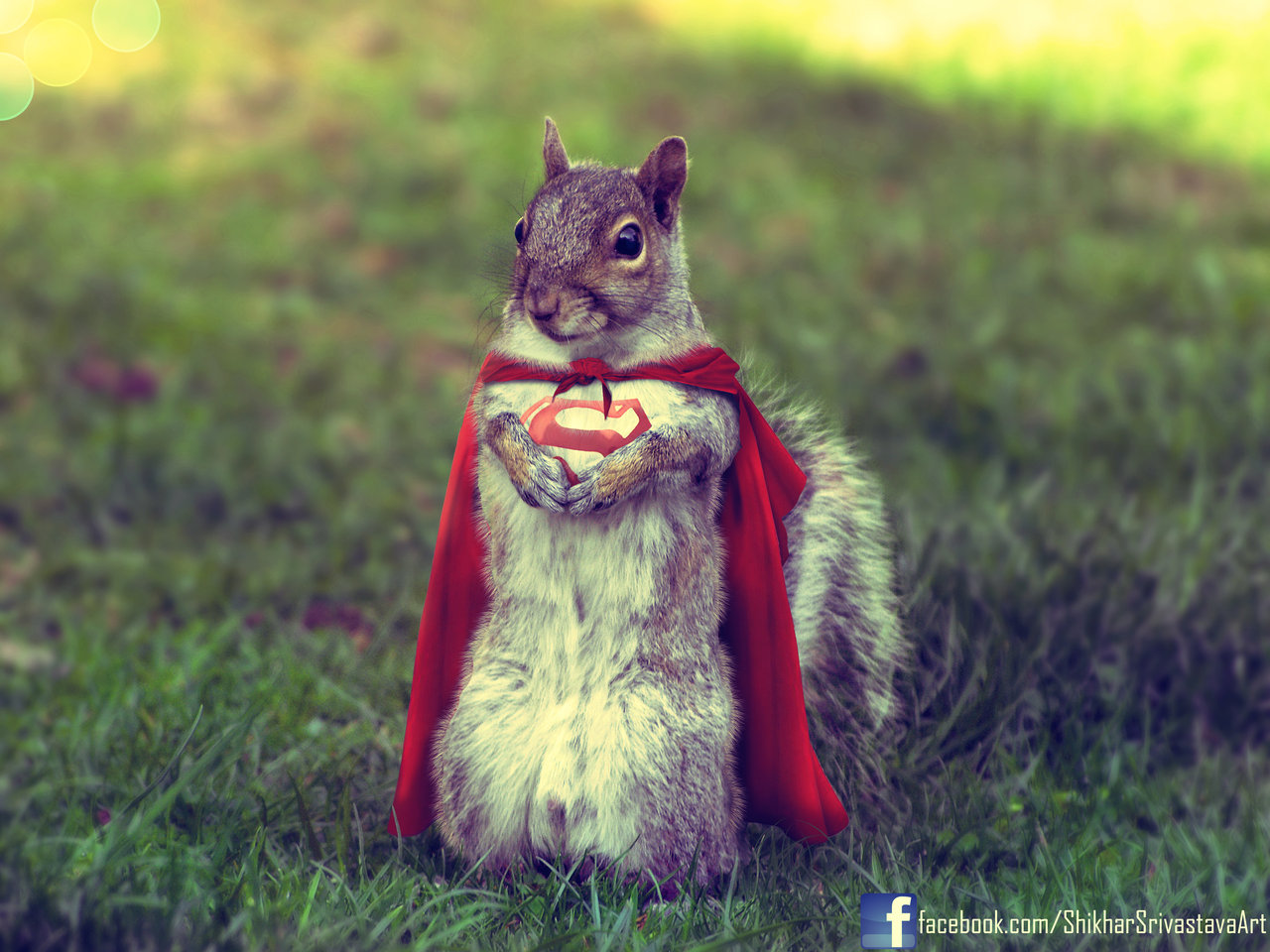 supersquirrel___the_last_squirrel_of_krypton_by_shikharsrivastava-d5c9oxb.jpg