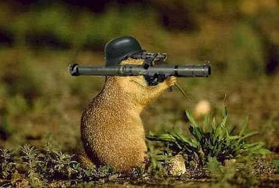 squirrel-with-rpg.jpg