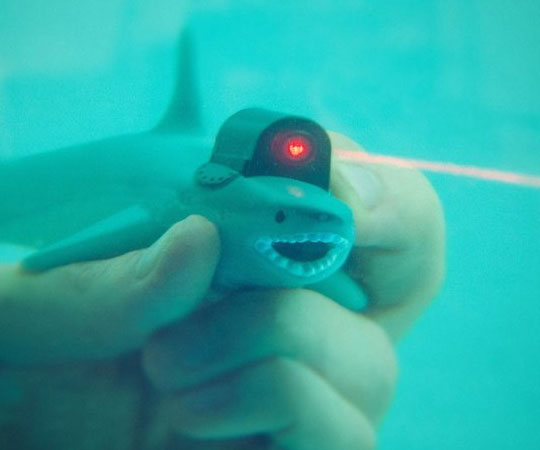 shark-laser-pointer1.jpg
