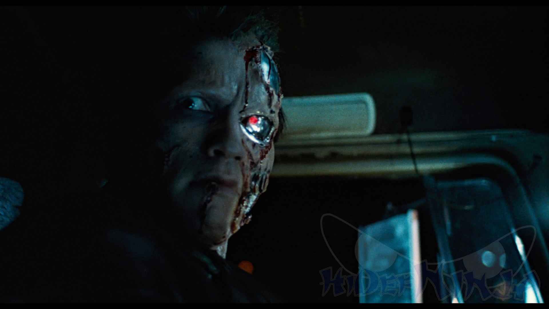 The Terminator-5