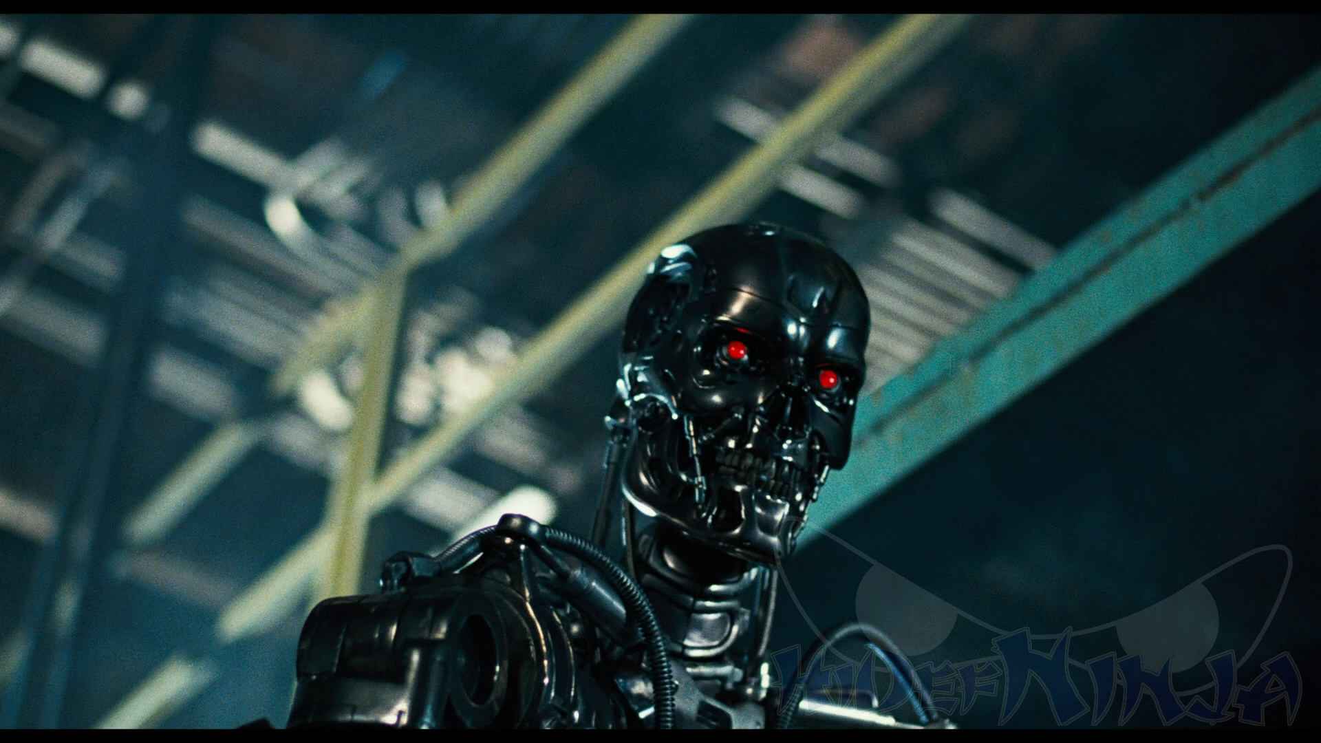 The Terminator-6