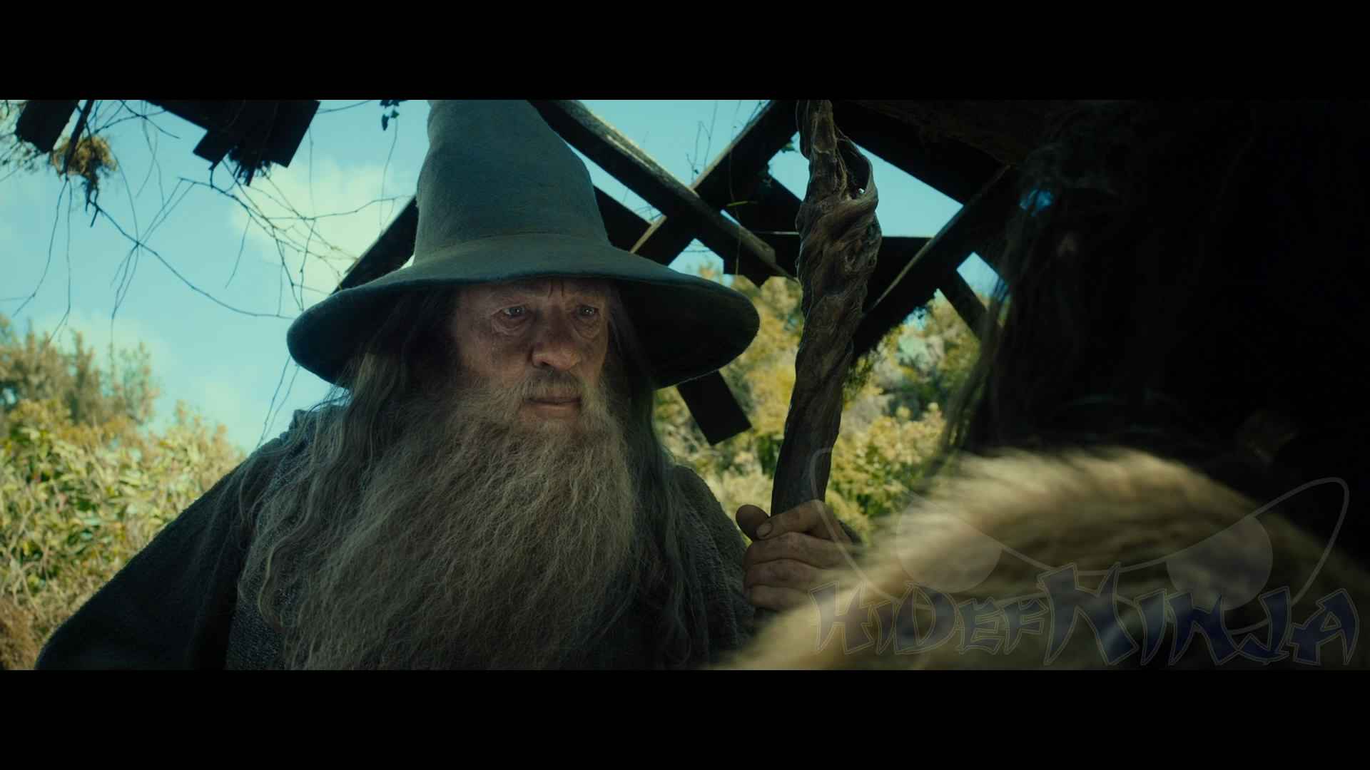 TheHobbitAUJ-5