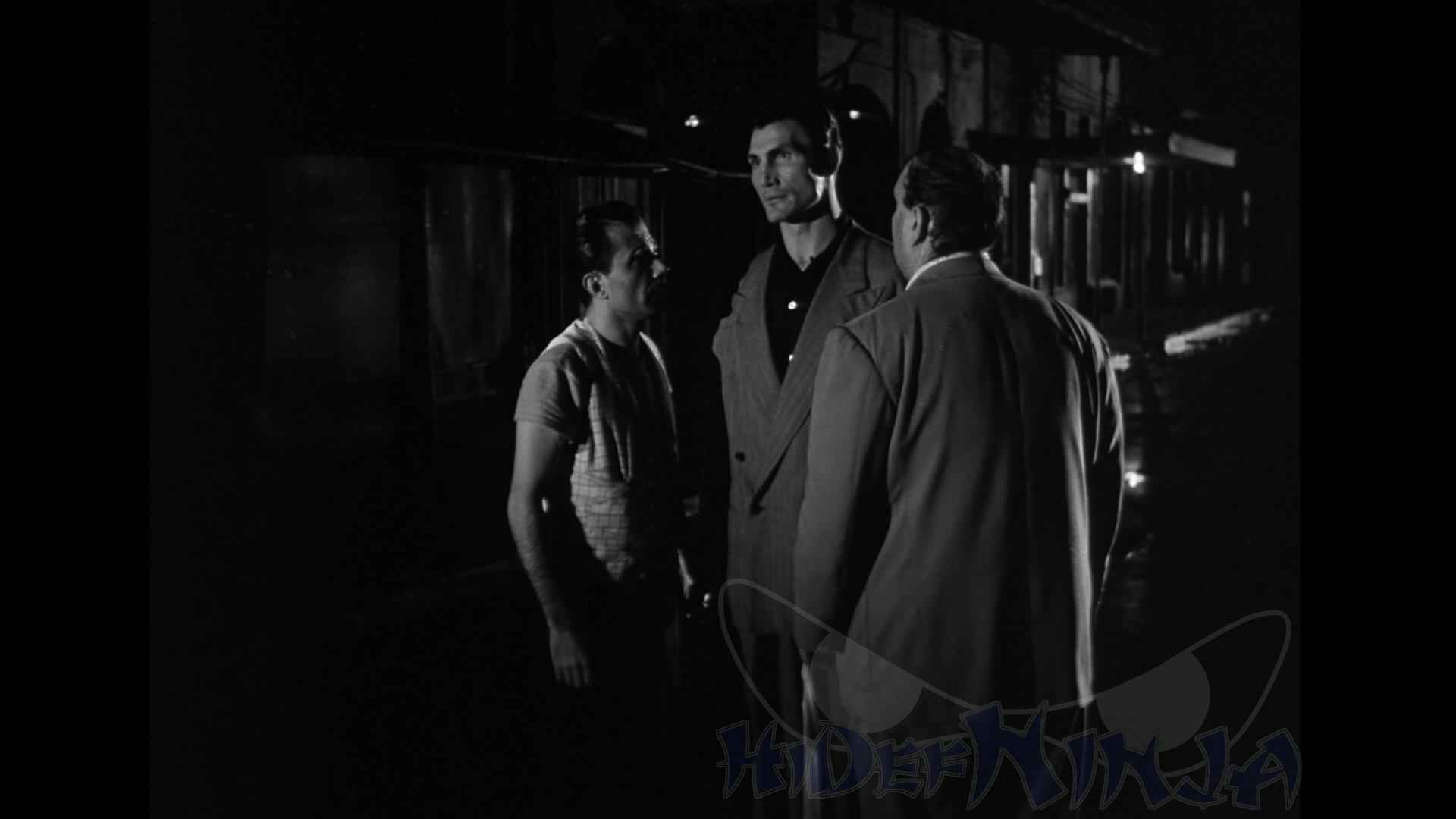 PanicintheStreets-2