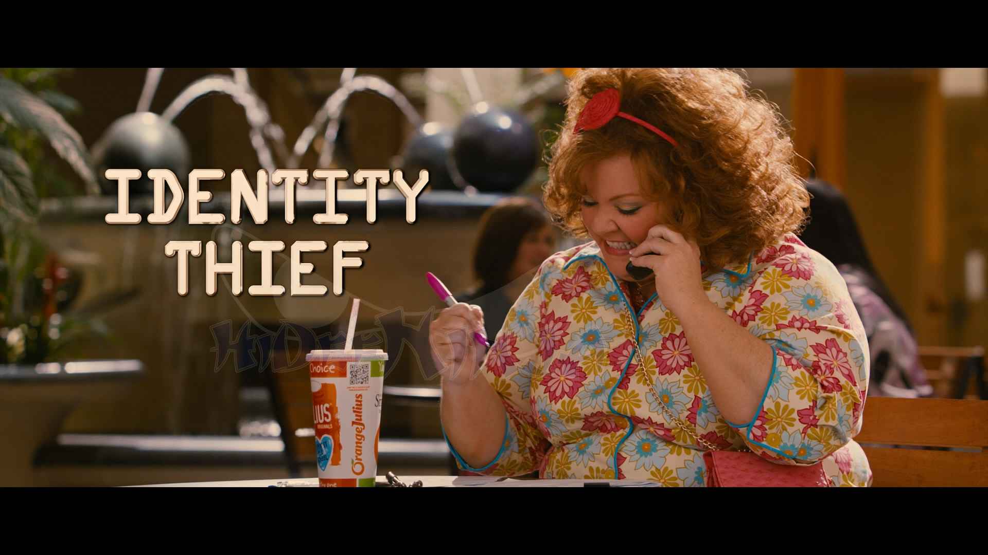 IdentityThief-1