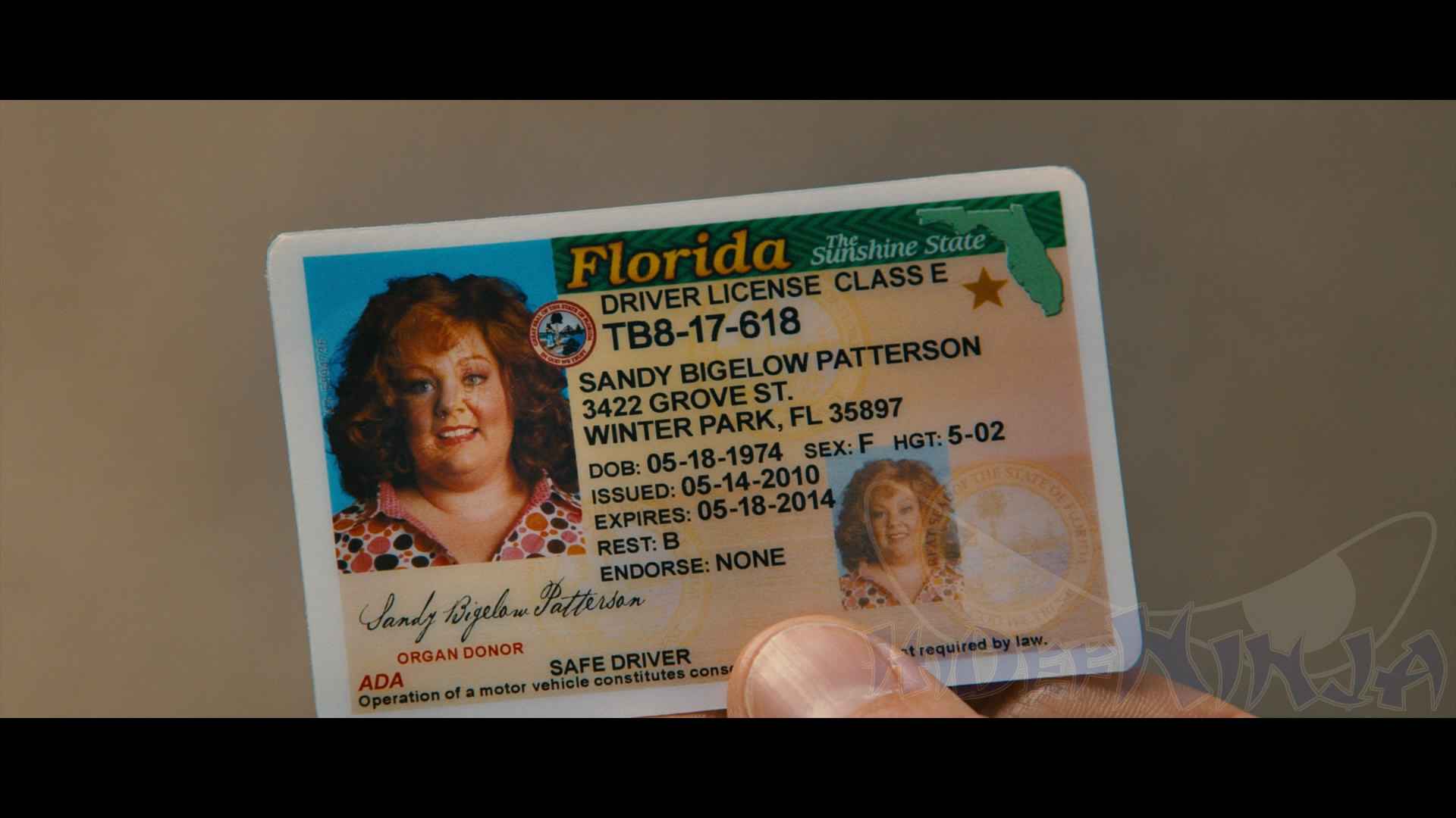 IdentityThief-3