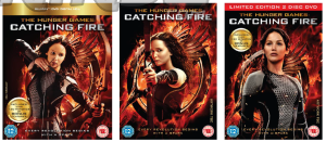 Catching Fire Artwork