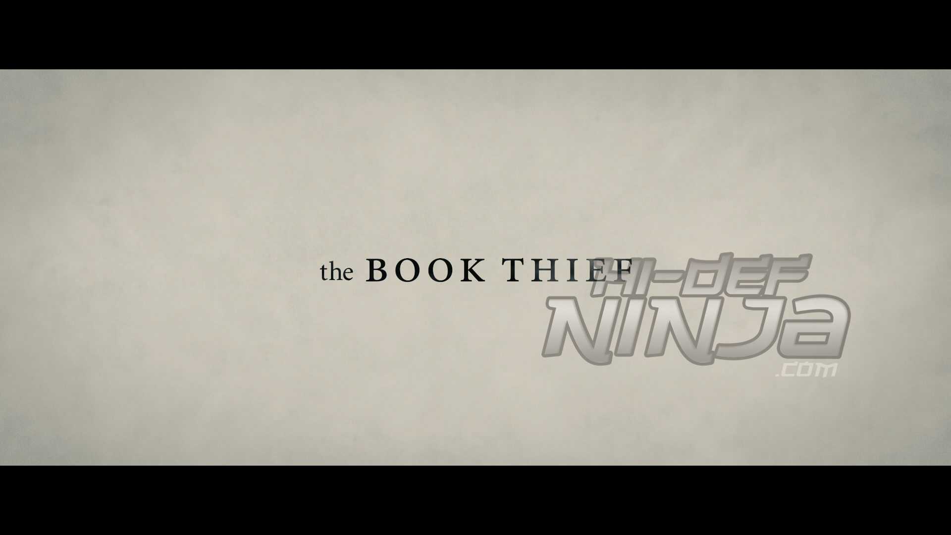 TheBookThief-1