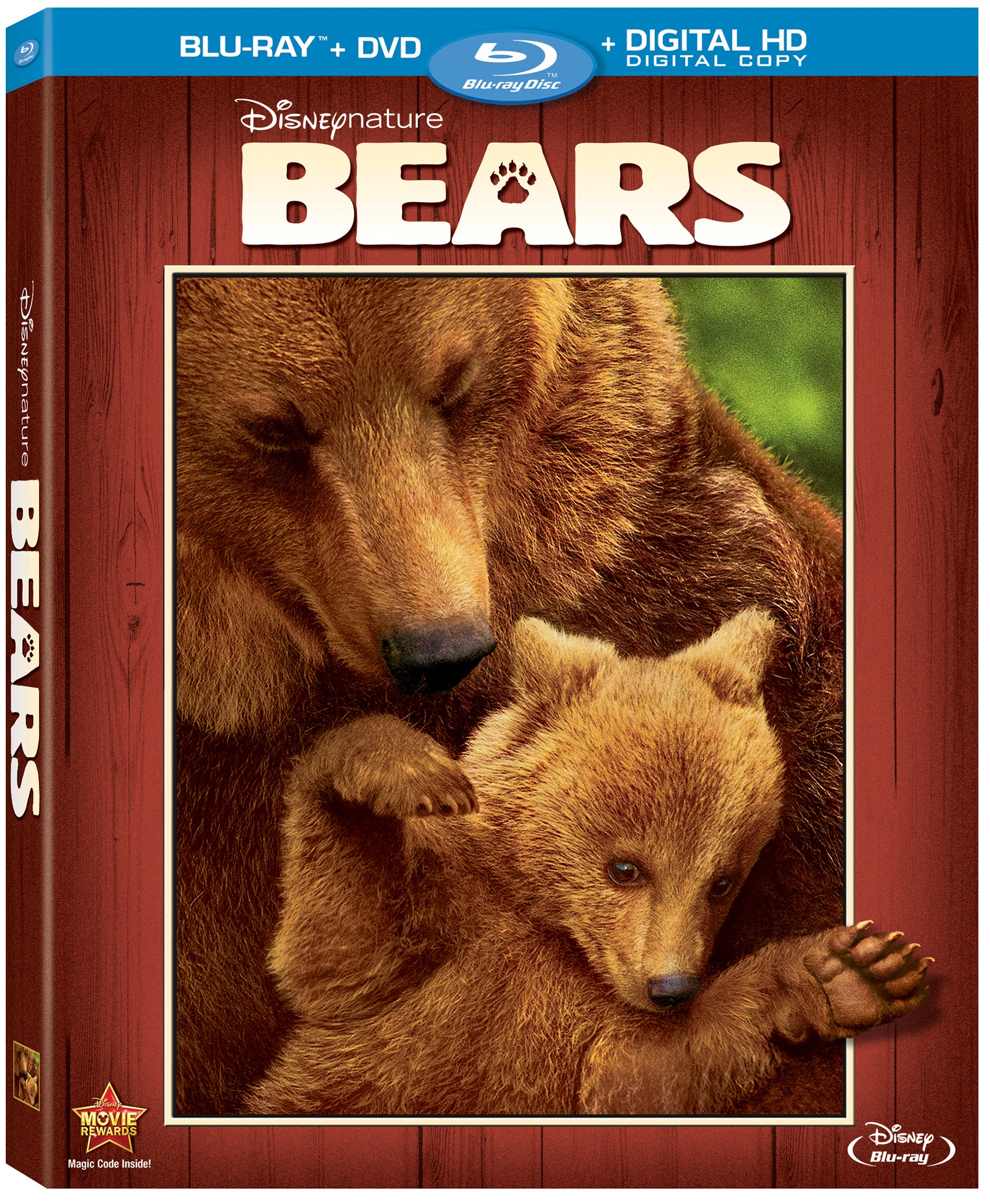 Bears