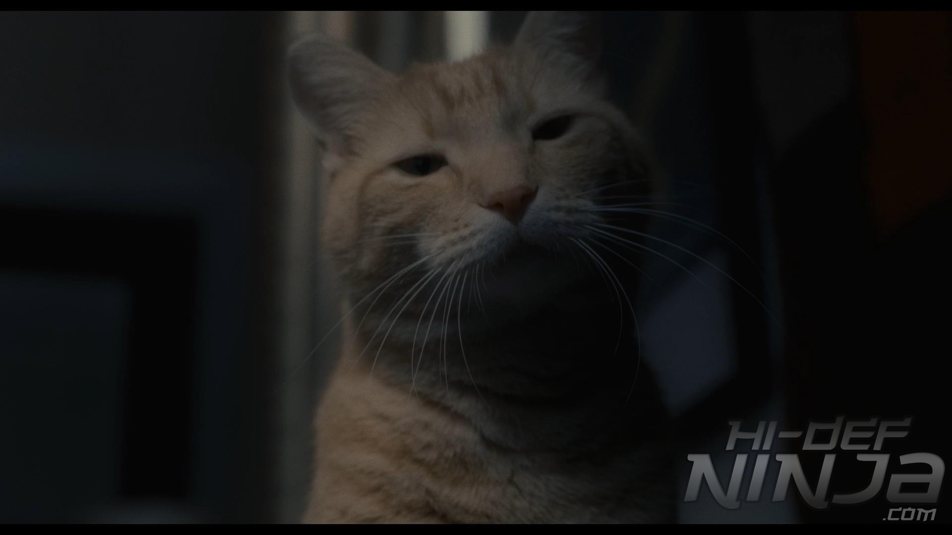 inside-llewyn-davis-03