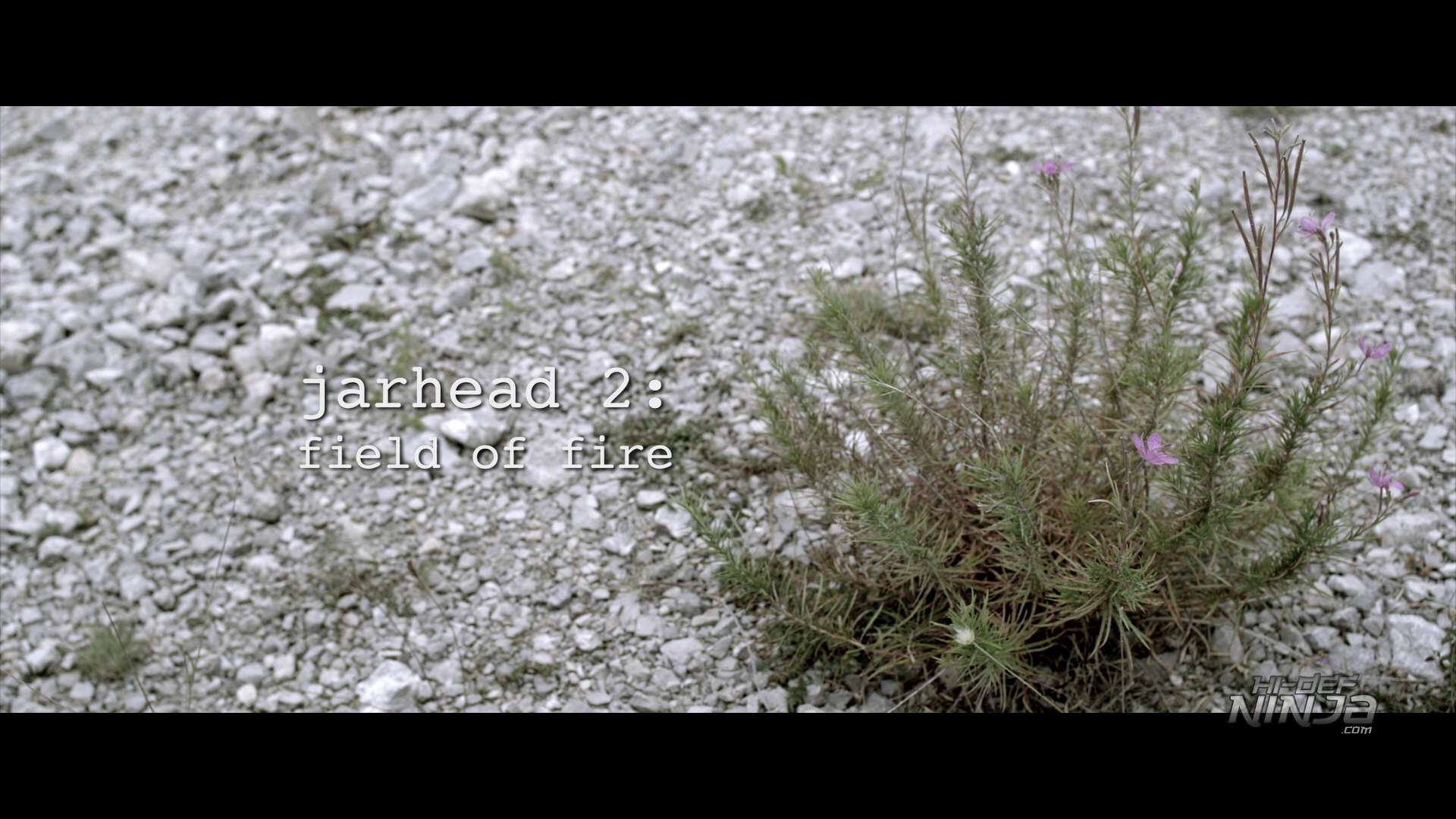 jarhead-2-01