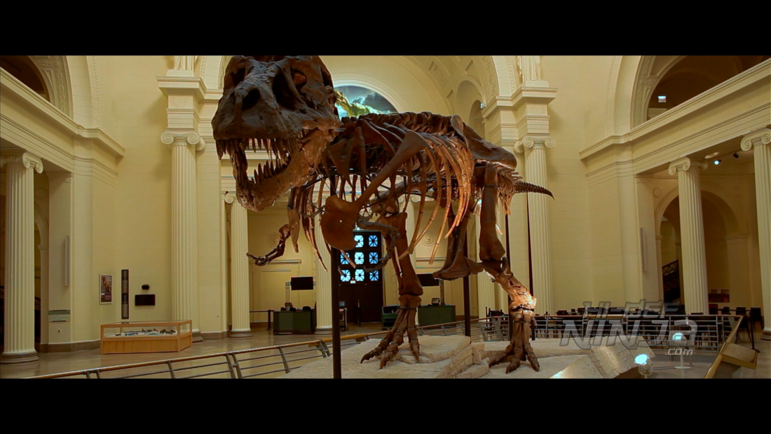 dinosaur-13-09