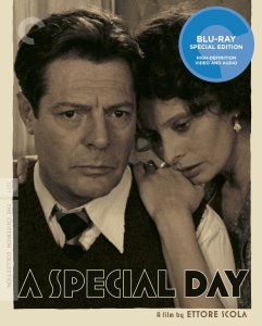 a special day cover