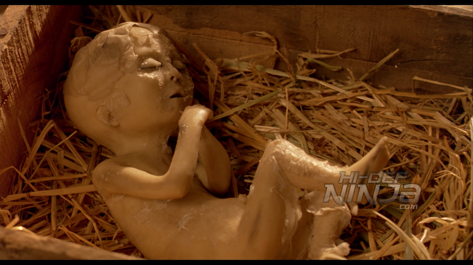 the reflecting skin-review-07