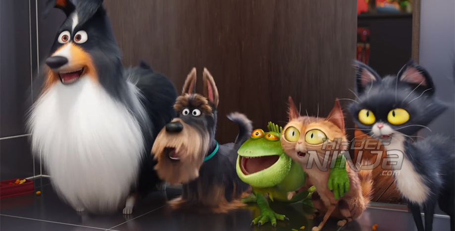 Pets3