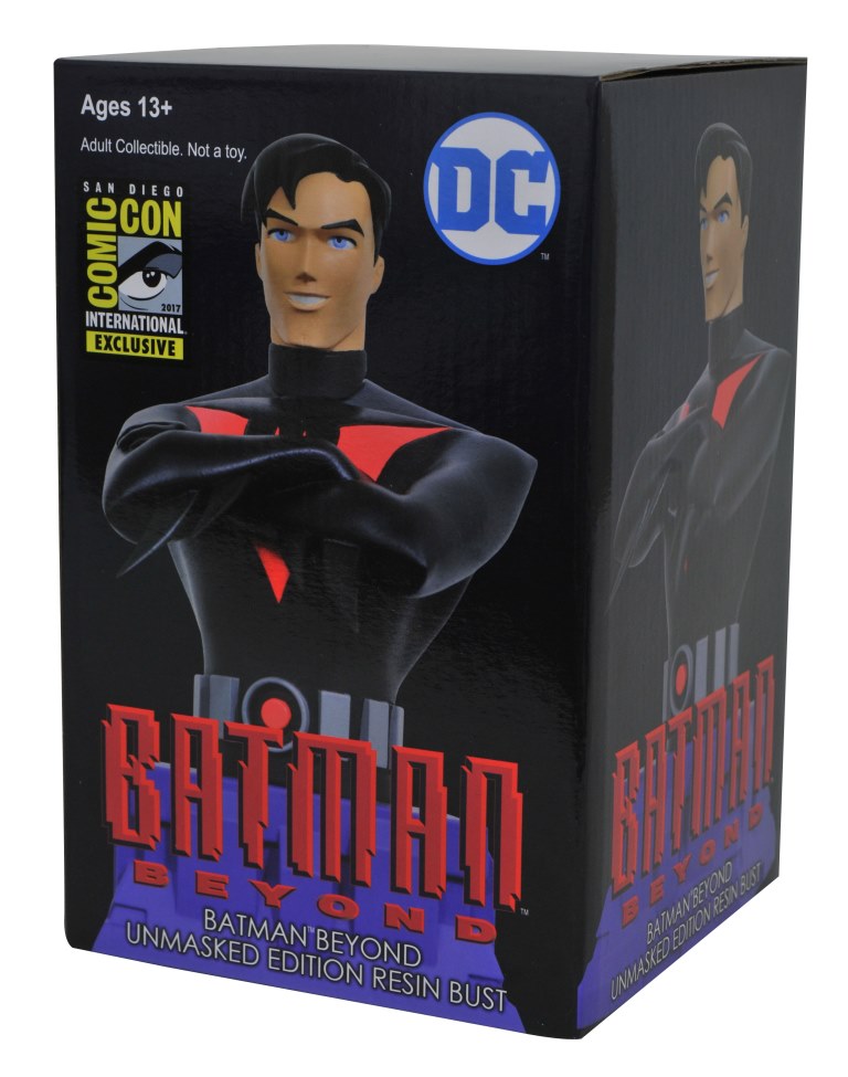BatmanBeyond_SDCC_TerryBox