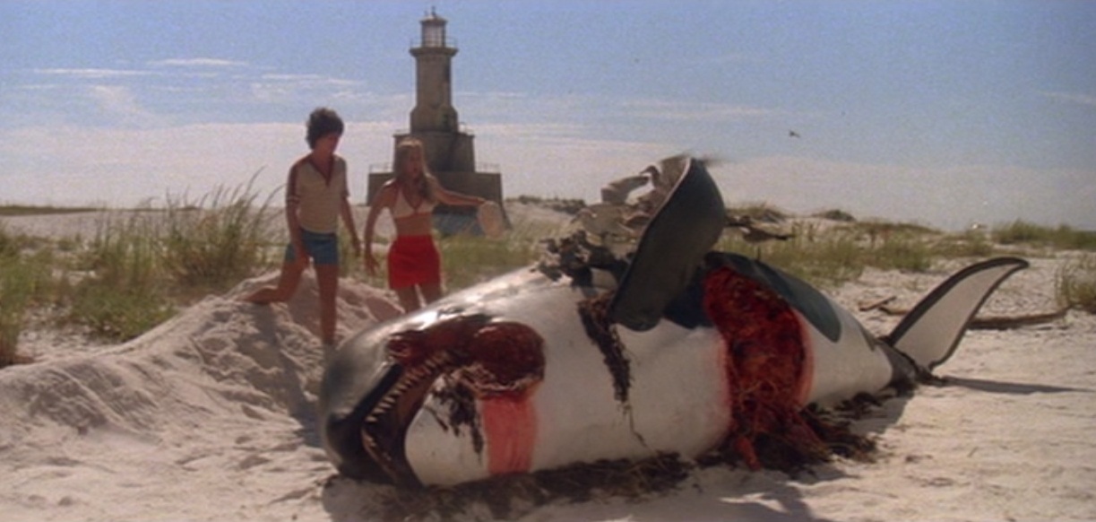ORCA The Killer Whale