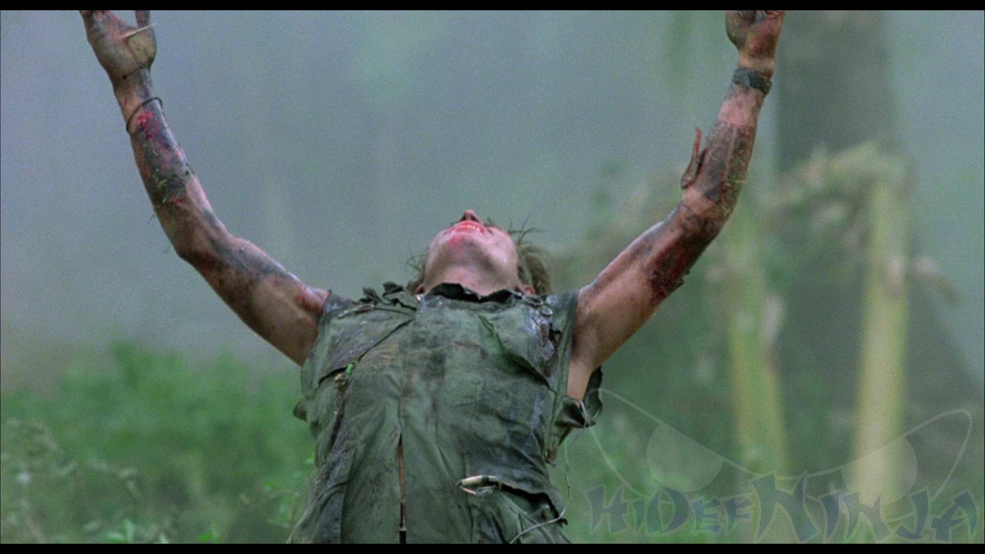 Platoon Blu-ray & DVD Review