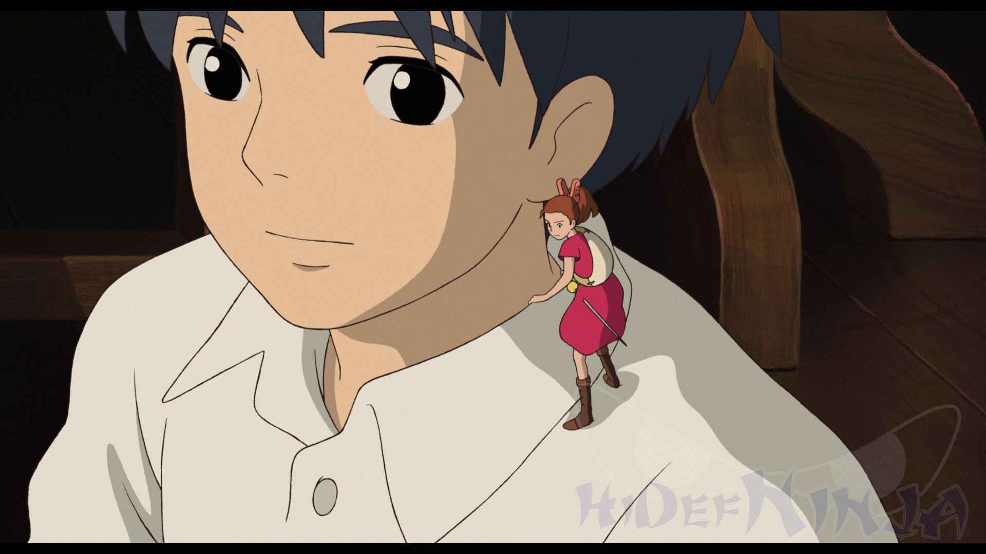 The Secret World of Arrietty Blu-ray Review | Hi-Def Ninja - Blu-ray