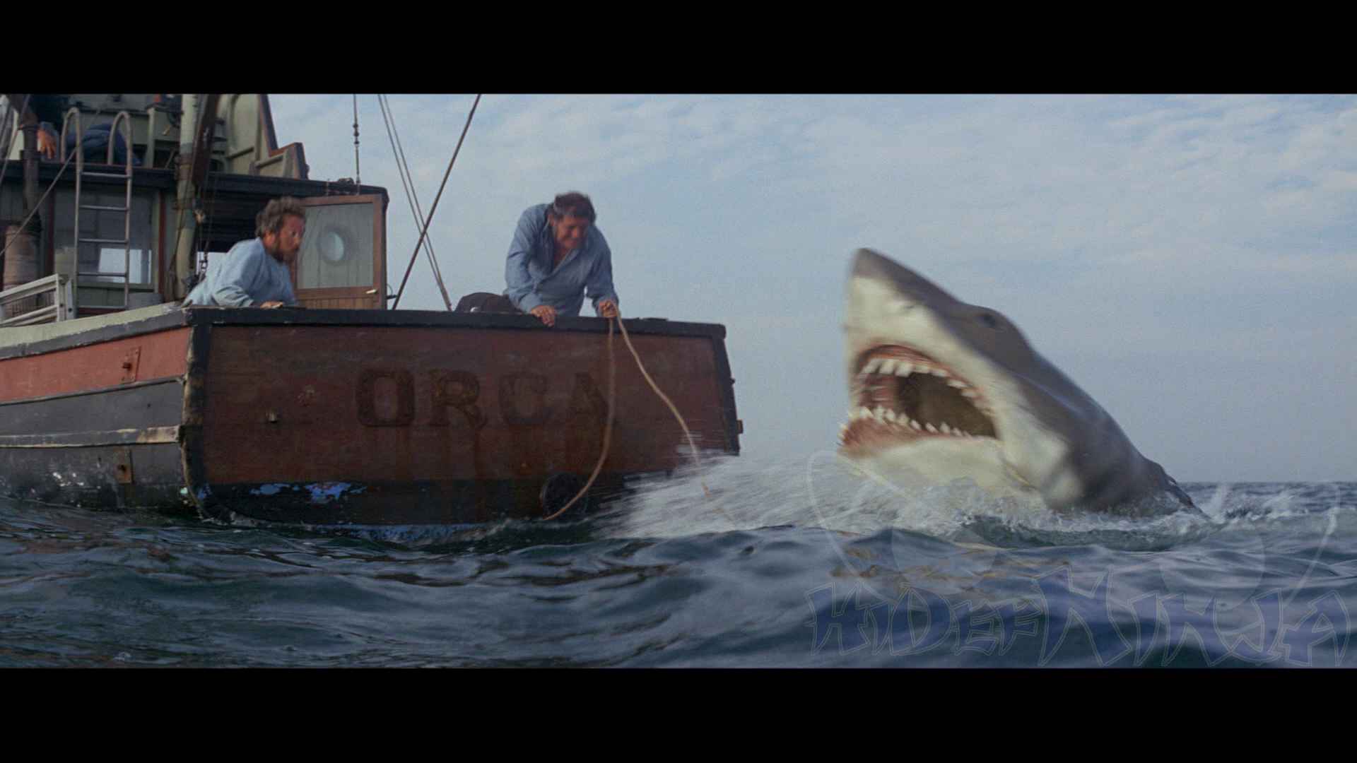 http://www.hidefninja.com/wp-content/uploads/2012/08/JAWS-5.jpg