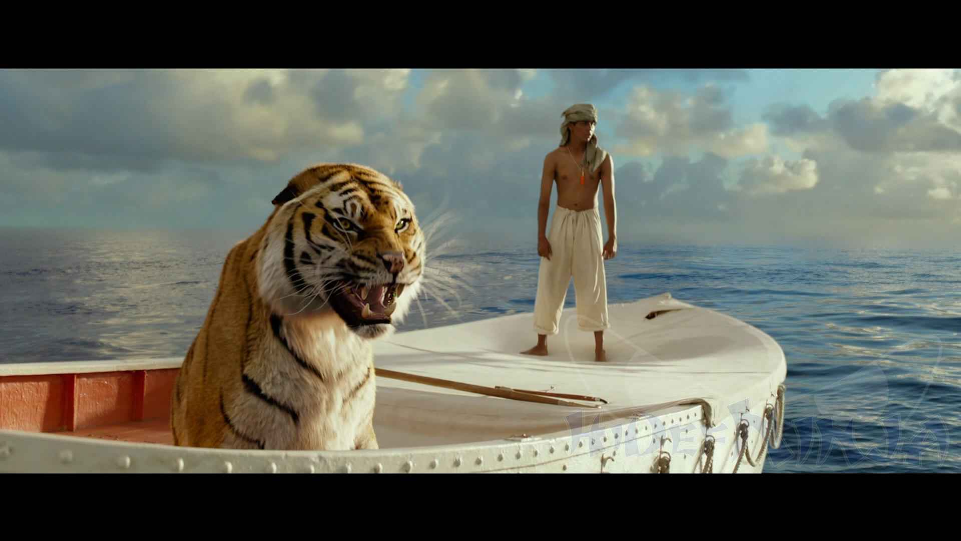 Life Of Pi review