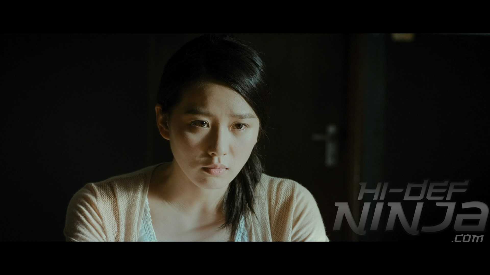 Badges of fury 2013 english subtitles download