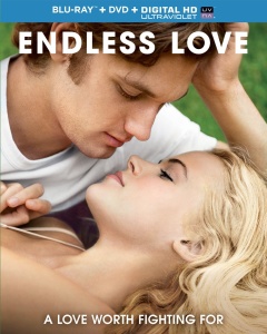 Endless love Cover