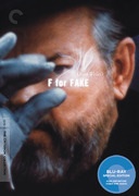 F is for fake cover
