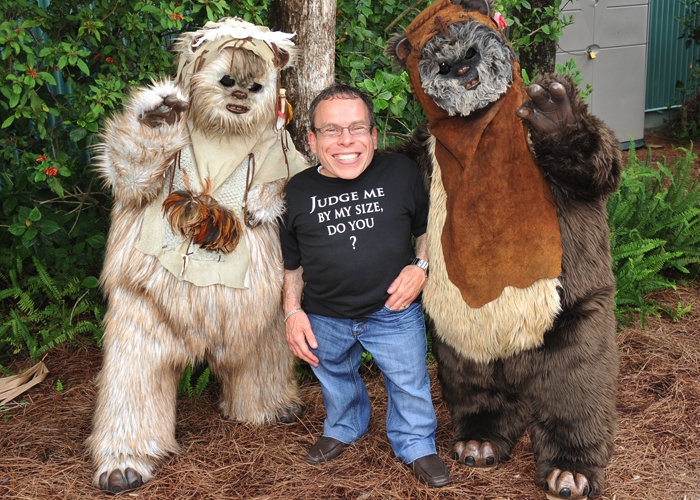 return of the ewok