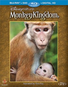 monkey kingdom cover