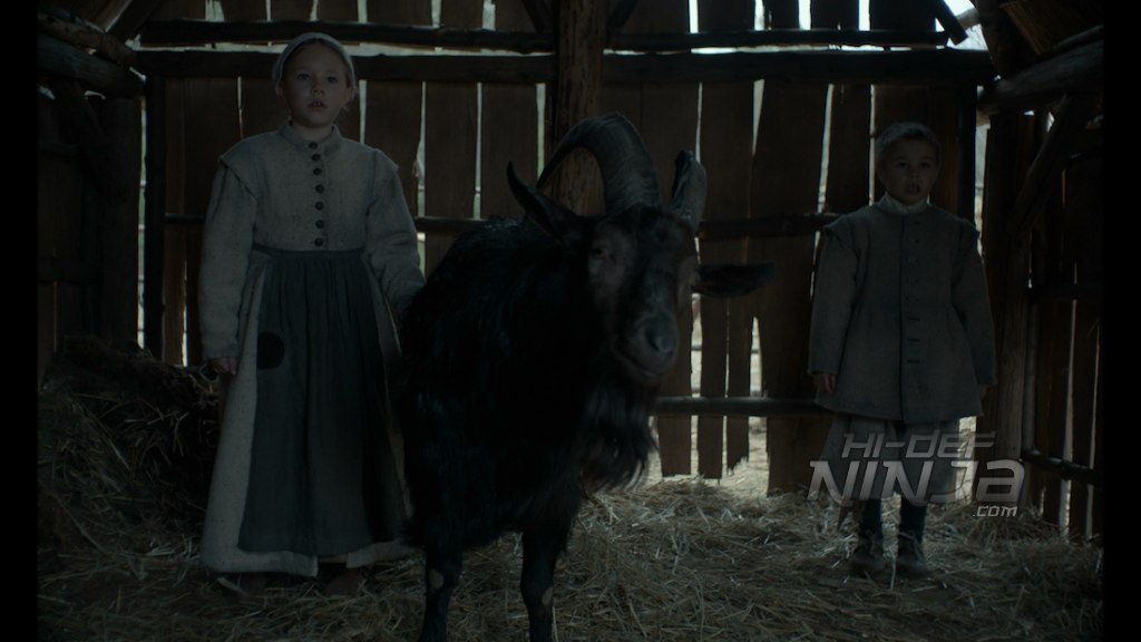 the witch-bluray review-2016-08