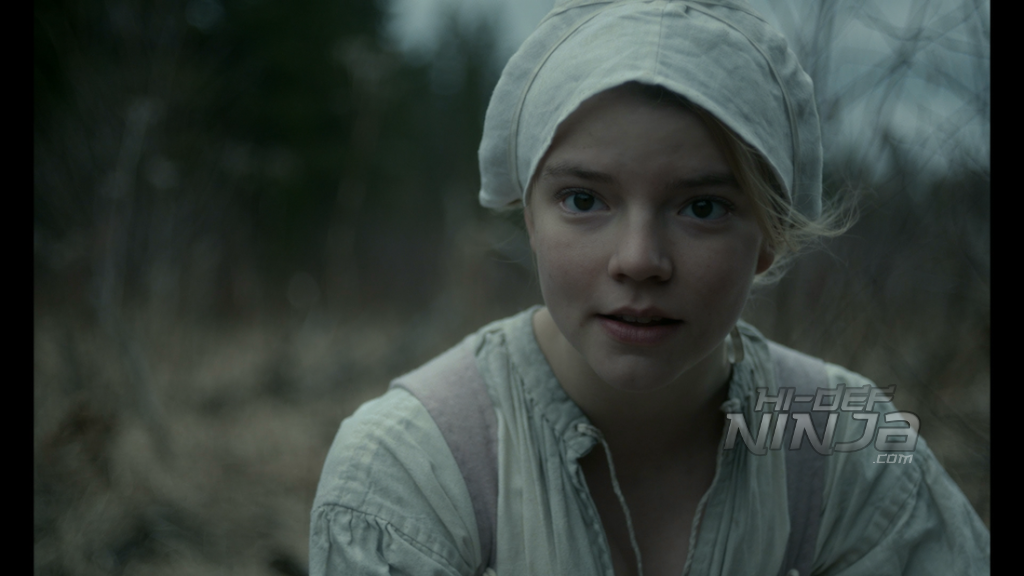 the witch-bluray review-2016-11