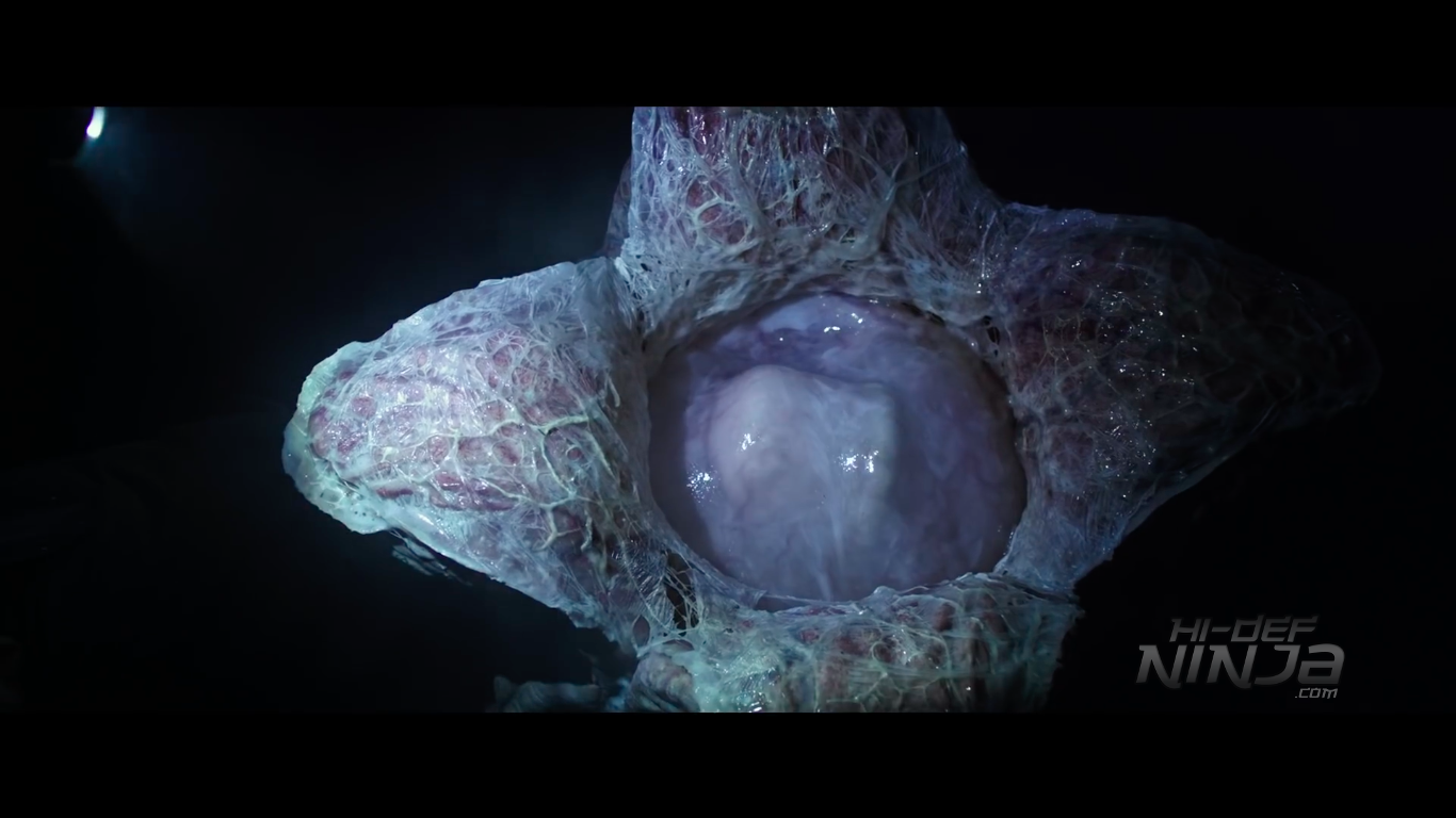 alien-covenant-trailer-screen-2016-04