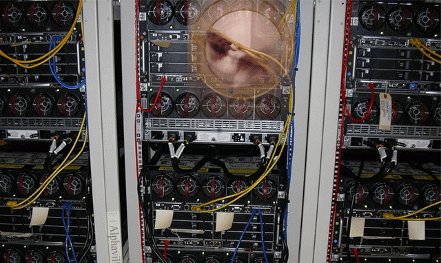 0021D514-8DFC-4AA6-AF4A-2DC9D08C8FEC.gif