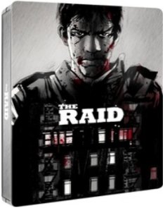 02-raid.jpg