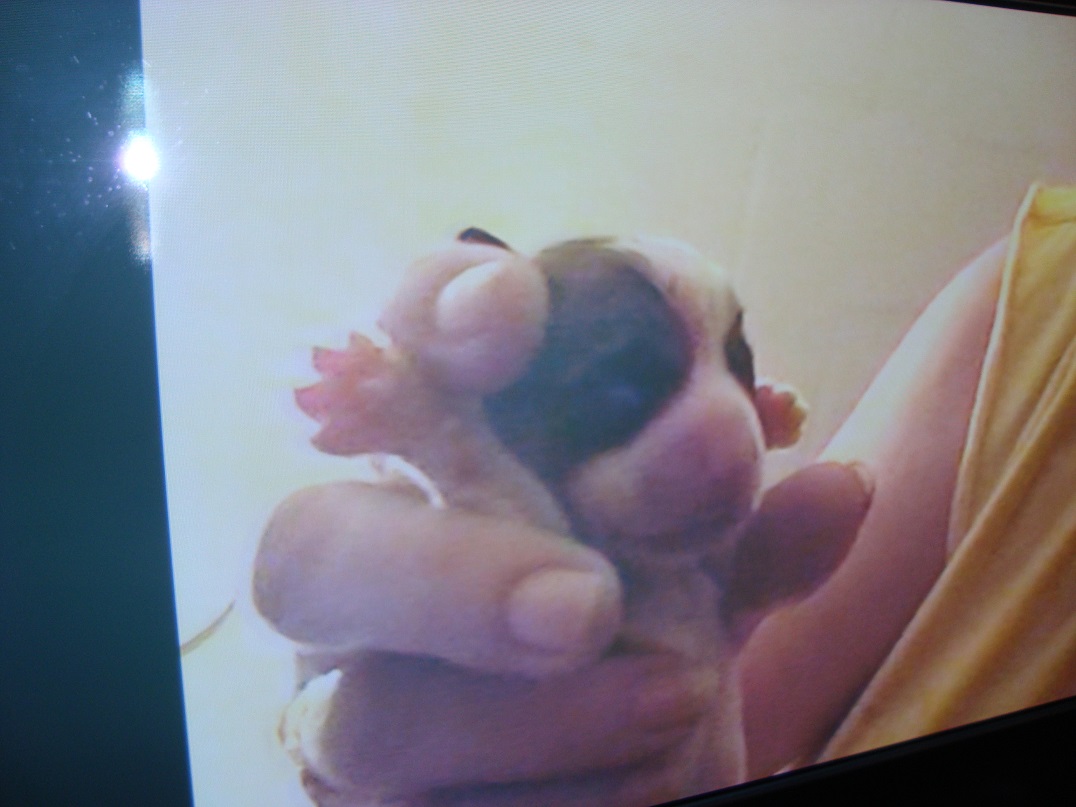 1. Birth.JPG