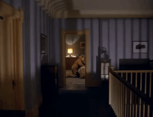 1.gif