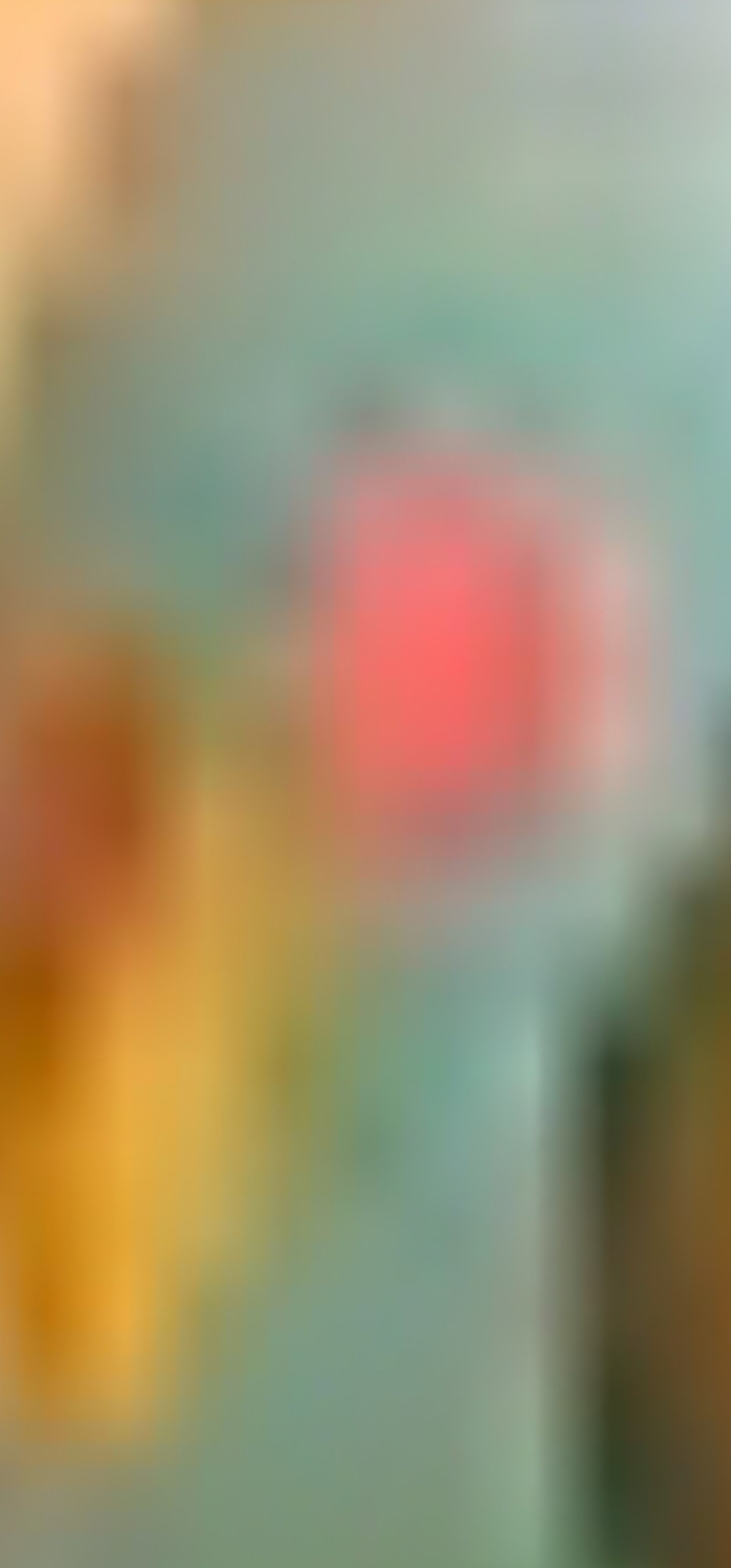 1000039324.jpg