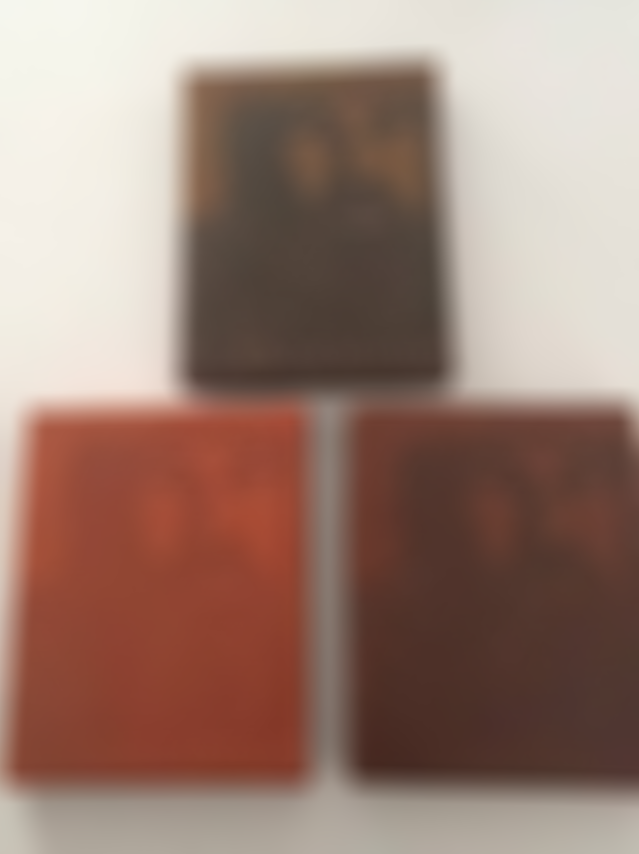 13548944_251761891871363_1279680162_o.png