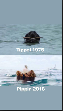 1542894879232.png