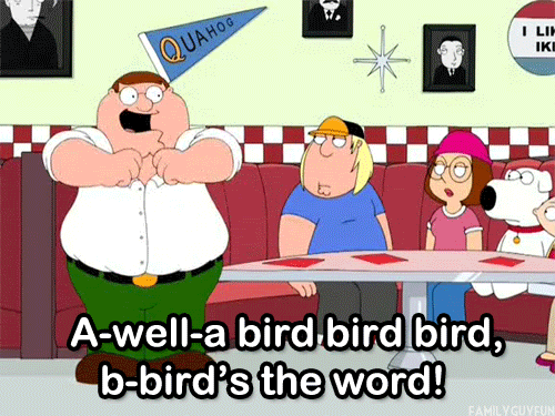 1549664797380.gif