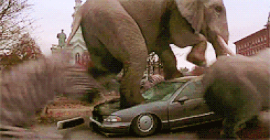 1555317446301.gif