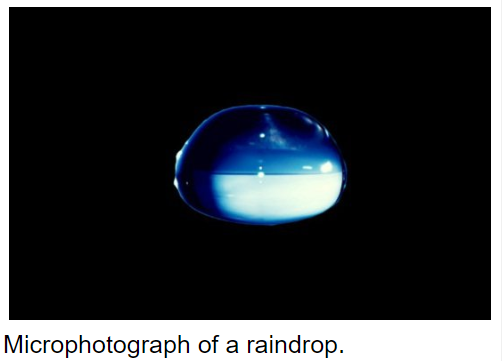 1564152141097.png
