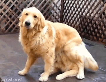 1568023662183.gif