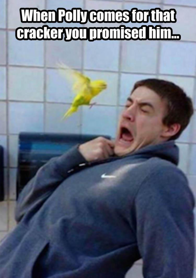 1574207043104.png