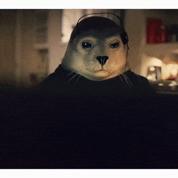 1580379928397.gif