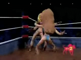 1584279495846.gif